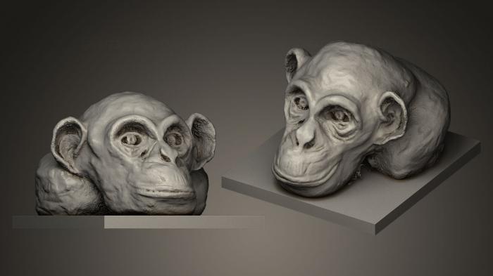 نموذج ثلاثي الأبعاد لآلة CNC أقنعة وكمامات الحيوانات رأس القرد